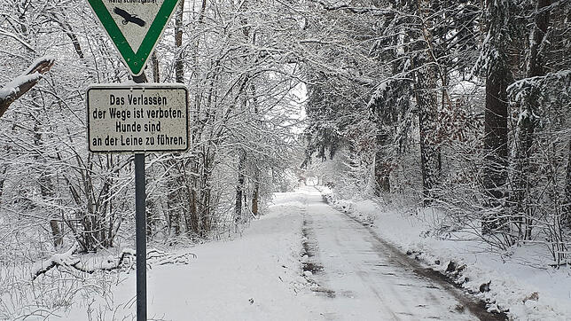 Das Sandwegle zwischen Villingen und Pfaffenweiler.
