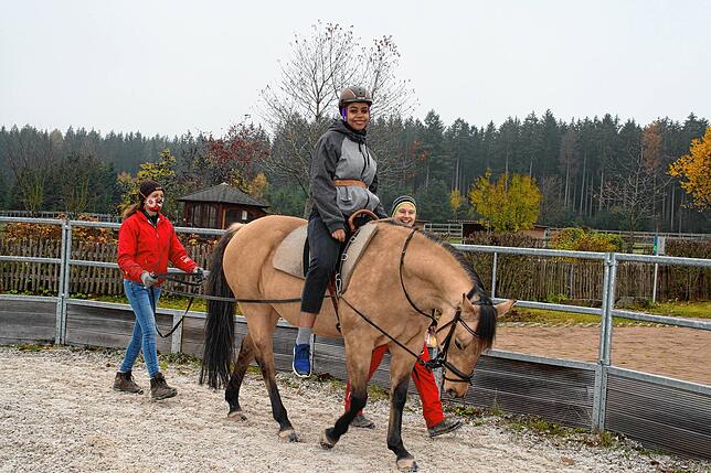 Beim Reiten trainiert Ada viele Muskelpartien, ohne das Kniegelenk zu belasten.
