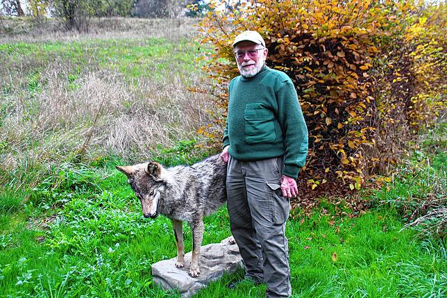 Kreisjägermeister Kurt Kirchmann mit einem ausgestopften Wolf (Archivbild).