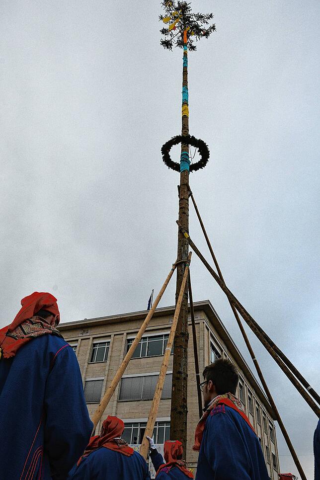 Der Narrenbaum steht: Das Ereignis war ein weiterer Höhepunkt am Schmutzigen Dunschdig in Singen. Im Hintergrund das Rathaus.