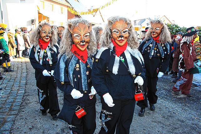 Bild 25: Die besten Bilder zum 60-jährigen Jubiläum des Narrenvereins Kuckucks I-Hager aus Bambergen