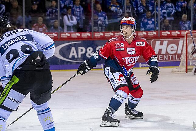 Bild 26: Die Wild Wings siegen wieder in der Deutschen Eishockey-Liga