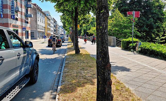 Autos, Busse, Lastwagen &ndash; und jetzt auch Fahrradfahrer auf der Straße.