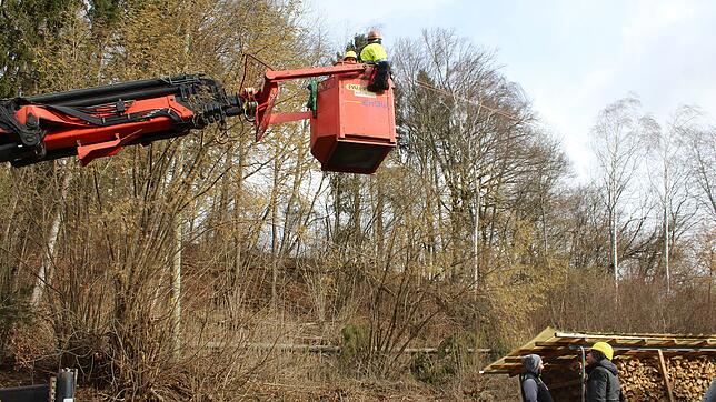 Das Sturmtief Sabine rief in Bittelschieß ein Team von Netze BW auf den Plan. &bdquo;Ein umstürzender Baum hat eine Oberleitung ...