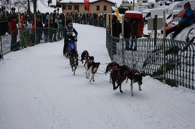 Bild 12: Das Internationale Schlittenhunderennen in Todtmoos 2019 in Bildern
