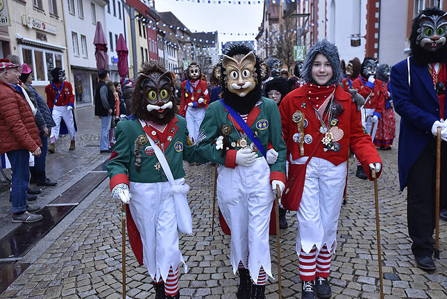 Bild 11: Bilder vom Einmarsch der Katzenmusik