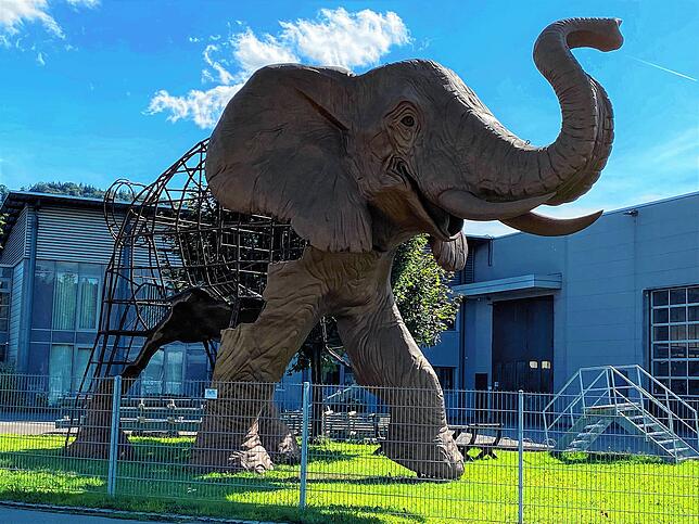 Dieser riesige Elefant steht auf einem Firmengelände in der Nähe der Sporthalle Bodman.