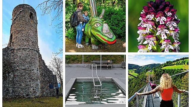 Fünf Naturerlebnisse gegen den Stress: Der Bärenfels bei Wehr, der Schlühüwanapfad bei Grafenhausen, der Orchideenpfad bei Küssaberg, ...