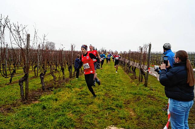 Bild 7: Bilder vom Crosslauf Hegau-Bodensee in den Reben oberhalb der Haltnau
