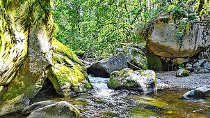 Die Teufelsküche ist ein schönes Ausflugsziel im Albtal. Wanderwege und Autostraßen führen dorthin.