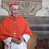 Newly elevated cardinal, Luis Francisco Ladaria Ferrer from Spain, attends the courtesy visit of relatives following a consistory for ...