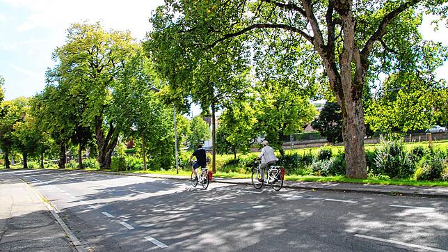Einer der Punkte der Verkehrskonzeptes, der für kaum Diskussionen sorgte: der Radstreifen auf der Hermann-Fischer-Allee. Doch anstatt ...