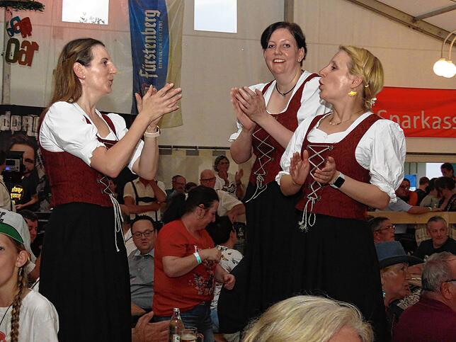 Bild 7: Dorfrocker rocken Festzelt in Leipferdingen