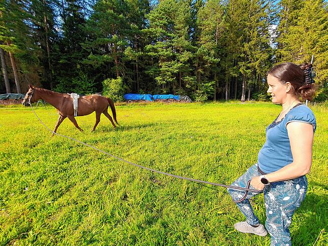 Lena Ummenhofer vom Reiterverein Mönchweiler. Neben ihrem Haus finden die Tiere herrliche Wiesen. Hier läuft Alfi an der Voltigier-Leine.