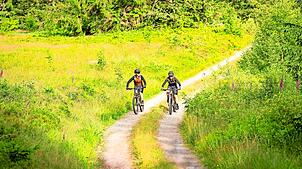 Am 1. April hat der Bike-Verleih für Gäste und Einheimische in Schönwald begonnne. Die Ausleihe ist auch am Wochenende möglich. Foto: HTG