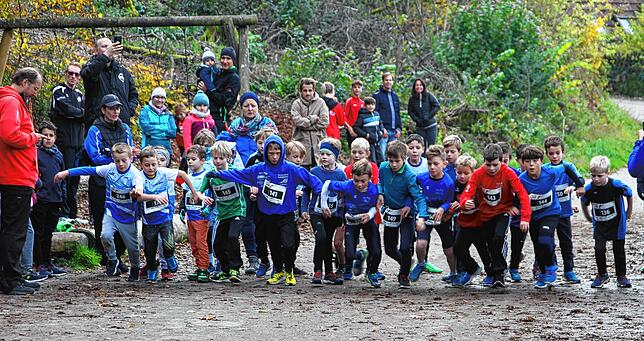 Sie wollen nur laufen: Hoch her ging es beim Start der Waldlauf-Bezirksmeisterschaft in den Nachwuchsklassen.