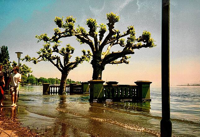 Bild 36: Hochwasser am Bodensee 1999: Diese Leserbilder zeigen das Ausmaß in Konstanz