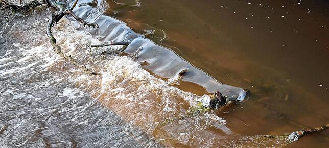 Die Metallstandbeine des Baugerüstes ragen aus dem Brigachwasser.
