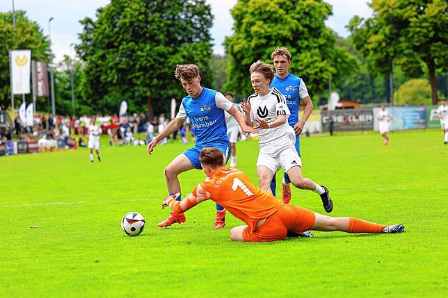 Bild 37: Unsere Bildergalerie vom B-Jugendfinale zwischen der SG Böhringen und der SG Konstanz-Wollmatingen