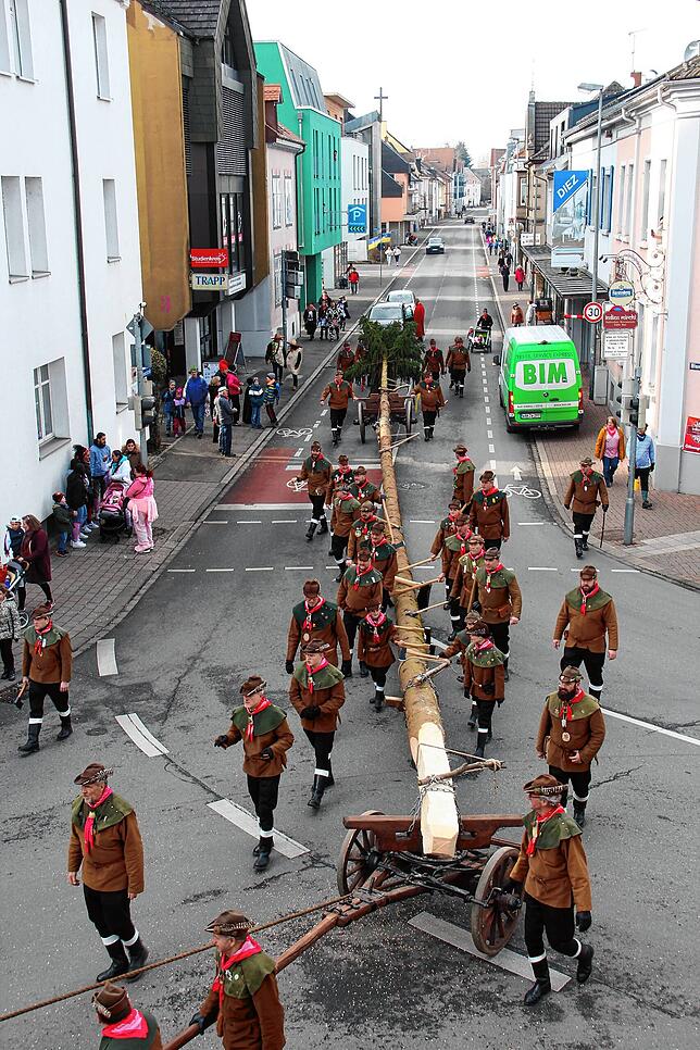 Bild 3: Etzt kummt de Narrenbom! Bilder vom Narrenbaumumzug in Radolfzell
