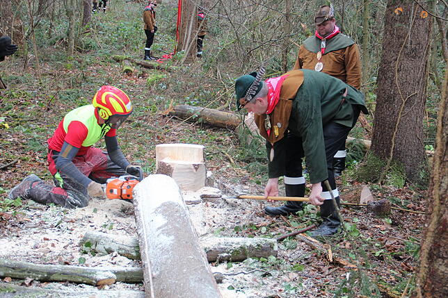Bild 9: Bilder vom Einholen der Narrenbäume der Narrizella Ratoldi und der Froschenzunft im Altbohlwald