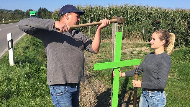 Landwirt Daniel Egger und seine Tochter Emily schlagen ein grünes Kreuz direkt an der B 33 auf ihrem Feld ein. Der Oberteuringer ...
