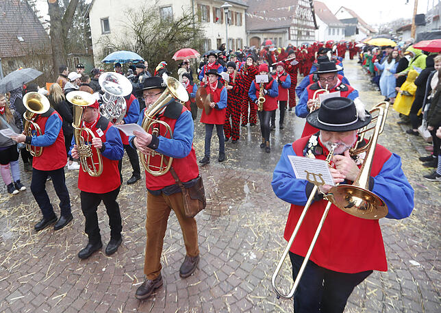 Bild 23: Bilder zum großen Narrentreffen in Pfohren (1)