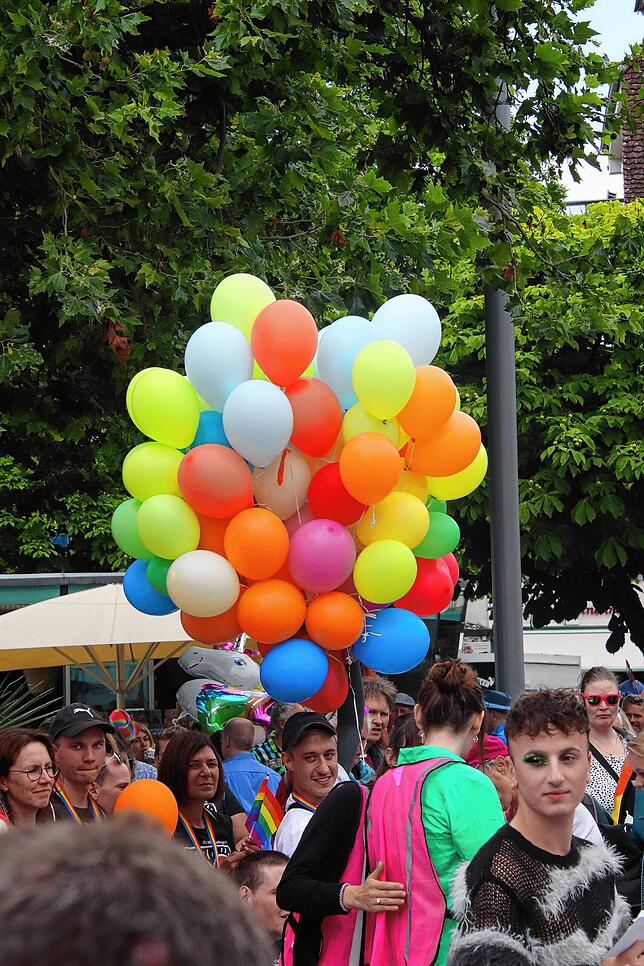 Bild 22: Der Überlinger CSD in Bildern, und dazwischen eine kleine Gruppe AfD
