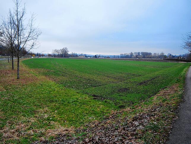 Hier könnte die neue Klinik für den westlichen Hegau gebaut werden.