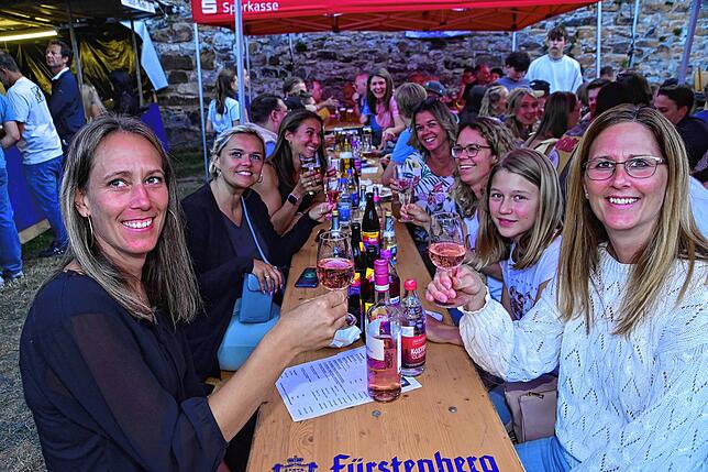 Bild 9: Die Narrozunft erwies sich wieder als perfekter Gastgeber beim Sommerfest im Spitalgarten.
