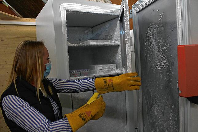 Wird der Impfstoff aus dem Tiefkühlschrank entnommen, wird er in einen zweiten Kühlschrank gelegt, dort taut er innerhalb von 30 Minuten ...
