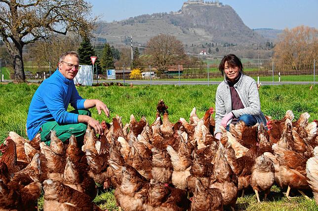 Glücklich mit den Hühnern. Clemens und Heidi Schlatter freuen sich über Tiere und Natur auf dem Buchhaldehof bei Rielasingen.