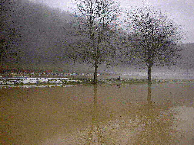 Bild 12: Als vor 20 Jahren der Rhein durch das Hotel Schiff floss: Spektakuläre Fotos vom Hochwasser in Rheinfelden