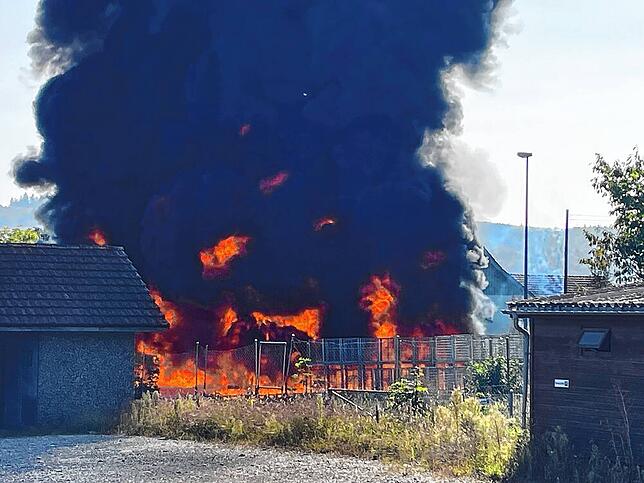 Bild 2: Brand bei Gemüsebaufirma in Villigen