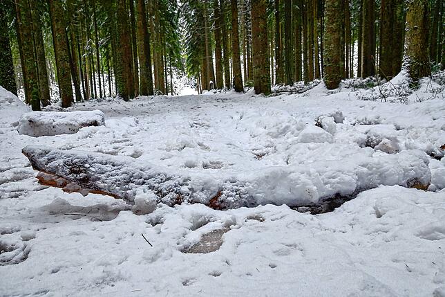 Diesen unter einer Schneedecke versteckten Balken sieht man nicht. Für Radfahrer und auch den Jäger, der die Waldwege befahren muss, ...
