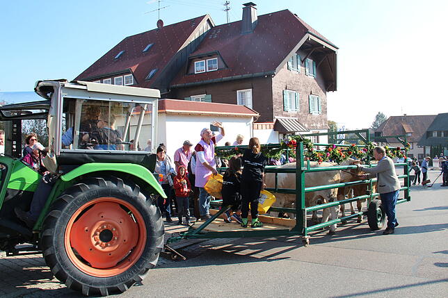 Bild 2: Das Hagehole in Birkendorf in Bildern