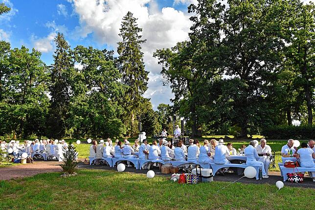 Bild 16: Französisches Picknick ganz in Weiß im Donaueschinger Schlosspark