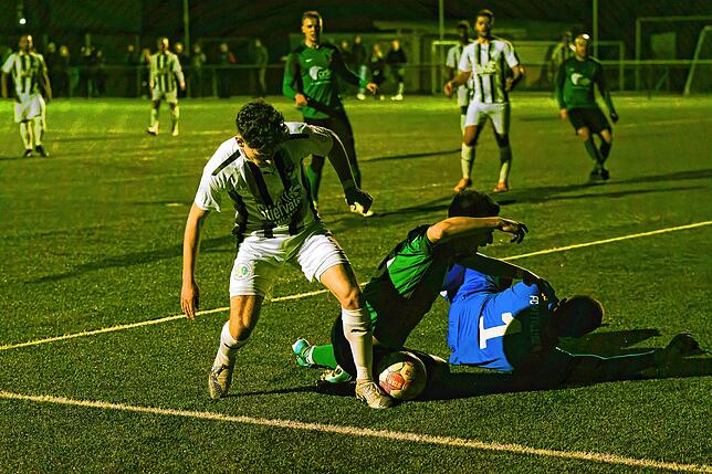 Bild 24: SV Herten erreicht ein 2:2 gegen den FC Wittlingen &ndash; wir haben Bilder!