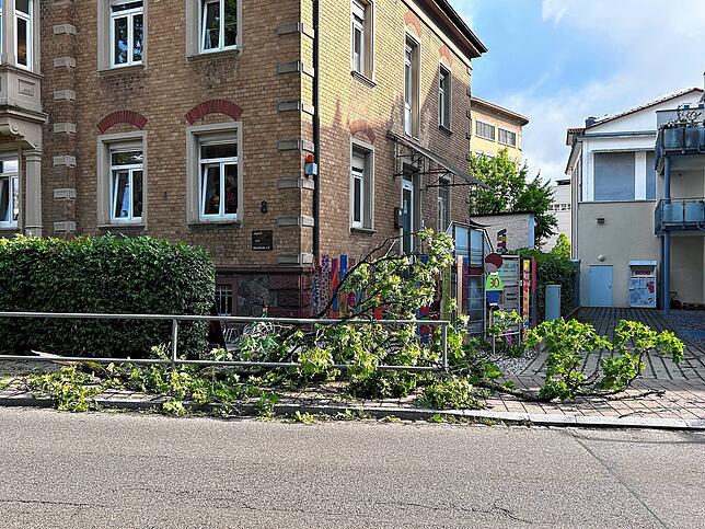 Bei der Kindertagesstätte Kindervilla im Benediktinerring ist ebenfalls ein großer Ast auf den Gehweg gekracht. Bild: Nathalie Göbel