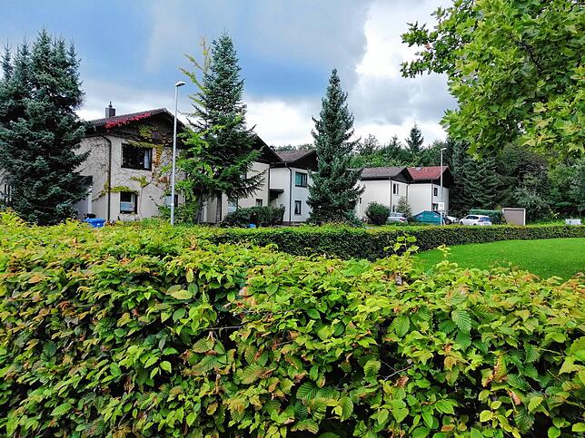 Die originale Häuserreihe an der Tannenstraße. Die ersten Häuser auf dem Aarberg waren zunächst Flachdach-Bauten, später bekamen die ...