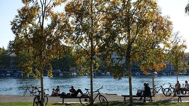 Herbstidylle im Herosepark: Hier kam es im Oktober 2016 zu der Auseinandersetzung.