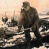 Letzte Aufnahme von Josef Müller vor Stalingrad. Im November setzten Kälte und Schneefall ein. Die Toten wurden nicht mehr beerdigt und ...
