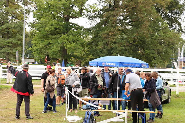 Bild 6: Bilder vom Marathon der Vierspänner beim Reitturnier in Donaueschingen