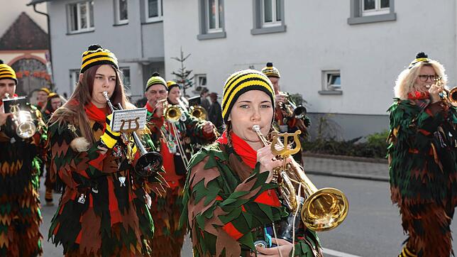 Bild 32: Seenarrentreffen in Dettingen: Auf dem Dorfplatz steht jetzt der Narrenbaum