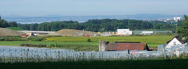 Das Sonnenblumenfeld direkt an der Anschlussstelle in Spaltenstein für die neue B 31 hat Anton Schraff von der Stadt als Tauschfläche ...