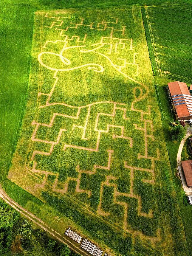 Wo ist der Ausgang? So sieht das Labyrinth von oben aus.
