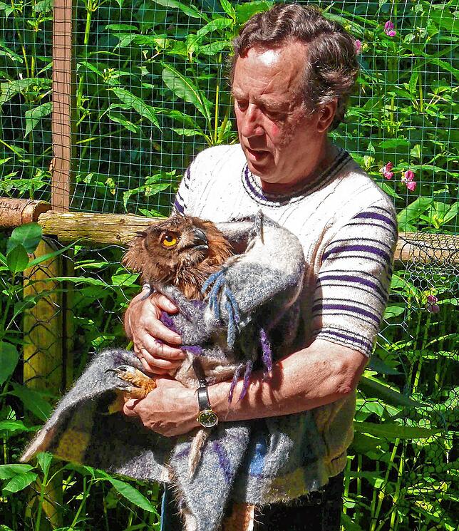 Eberhard Wirth mit einem Uhu der Stadt Überlingen. Insgesamt sieben Wochen verbrachte das Tier im Sommer 2012 auf der Fuchsfarm.