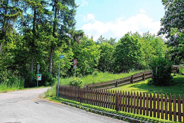 Blick vom Fichtenweg in das Waldgebiet in Hausen vor Wald, in dem der neue Waldkindergarten entstehen soll. Das Bild entstand im Sommer.