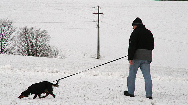 Hundehalter in der Gemeinde Görwihl müssen künftig tiefer in die Tasche greifen. Ab dem 1. Januar 2019 beträgt die jährliche Hundesteuer ...