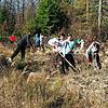 Schüler der Realschule beim Kampf gegen die Brombeere im Jestetter Wildkatzenbiotop.